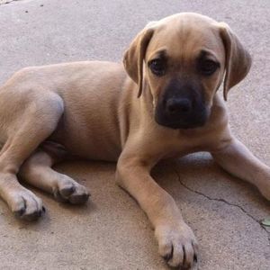 Meet your Posher, Nick